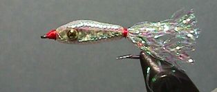 Cypert's minnow Cypert minnow