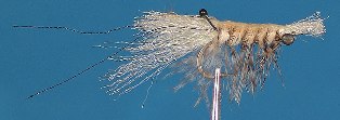 Shrimp fly Shrimp fly