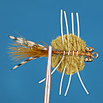Merkin crab