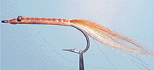 Sand eel