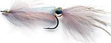 Squid fly
